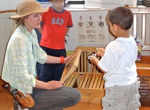 using a "picture hive" to explain honey bees to a young fella