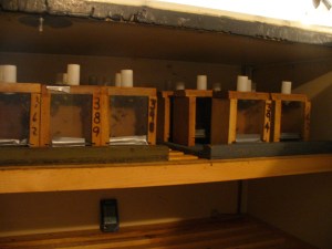 how is this even remotely reflective of their natural environment?